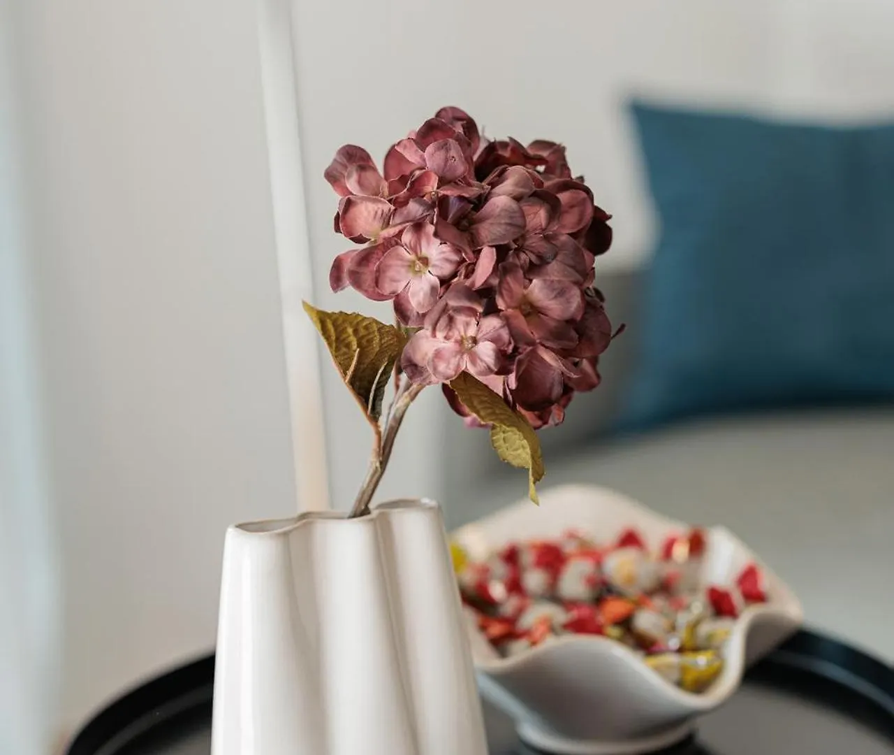 Golden Tulip Apartment Zadar Croatia